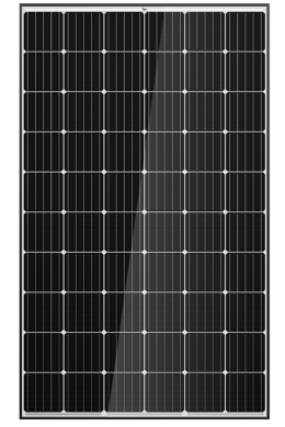 profile img